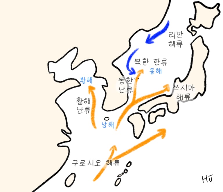 해수의 표층 순환